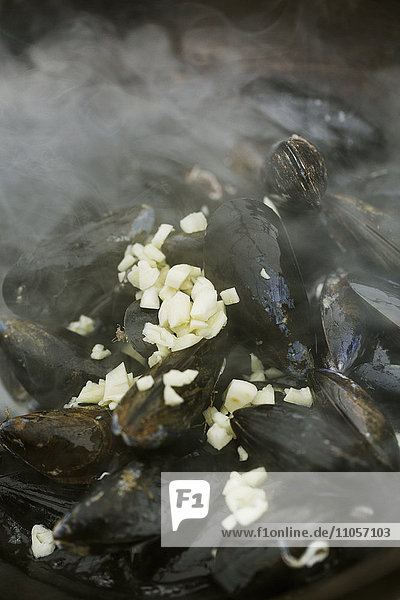 Close up of steamed Black Mussels with garlic.