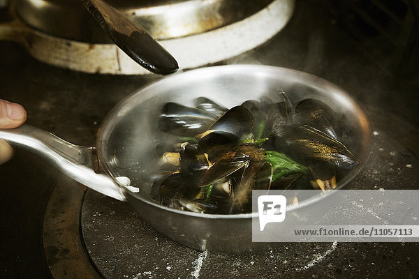 High angle view of a frying pan with steamed Black Mussels on a stove.