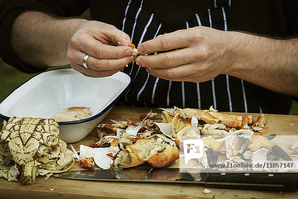 Close up of a chef preparing a crab.