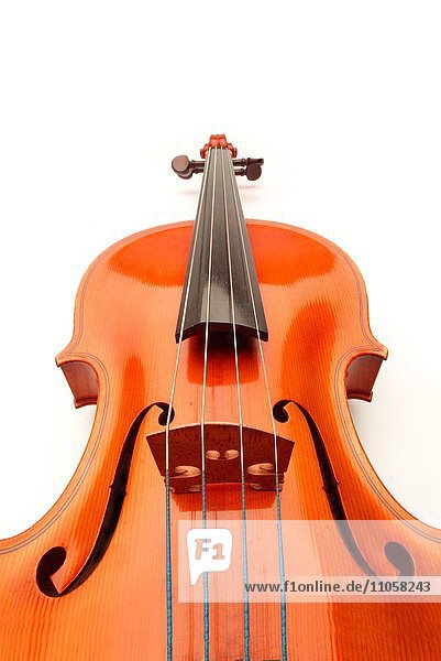 Violine