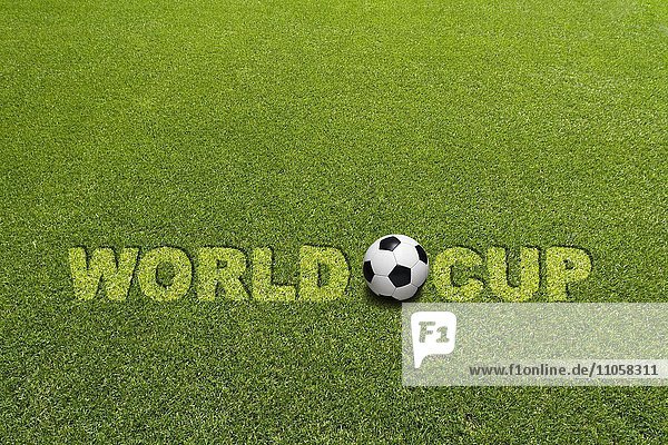 Rasen Schriftzug World Cup Fußball