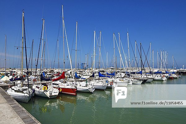 Segelboote liegen im Hafen  Senigallia  Provinz Ancona  Marken  Italien  Europa