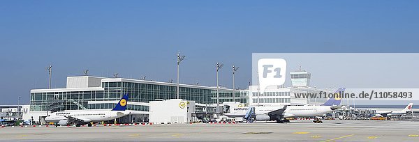Lufthansa Airbus  A 319-100  und Lufthansa Airbus  A330-300  Satellit  Terminal 2  Flughafen München  Bayern  Deutschland  Europa