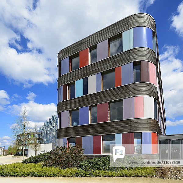 Federal Environment Agency  built in 2005  sauerbruch & hutton architekten  Dessau  Saxony-Anhalt  Germany  Europe