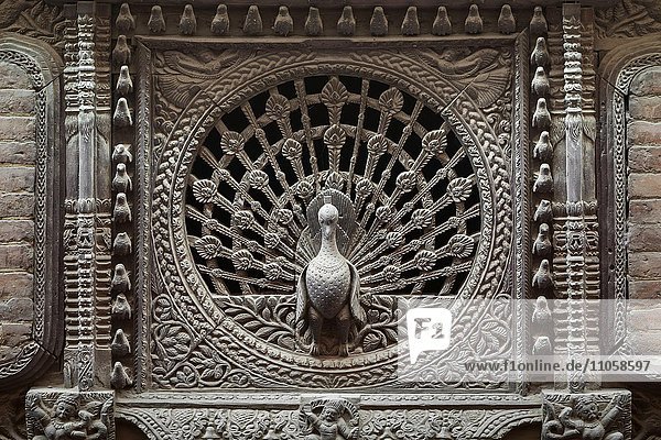 Aus Holz geschnitzter Pfau  Fenster  Bhaktapur  Nepal  Asien