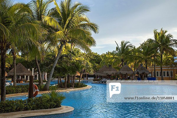 Palmen  Pool  Liegestühle  Palm Sonnenschirme  Iberostar Paraiso Beach Resort  Playa del Carmen  Quintana Roo  Riviera Maya  Mexiko  Nordamerika