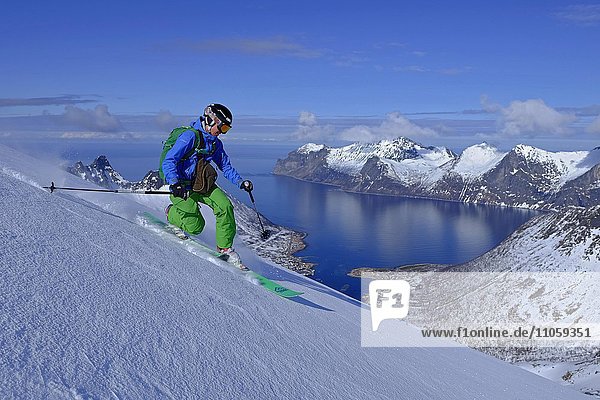 Frau beim Abfahren  Telemark Freeride am Roalden  Senja  Norwegen  Europa