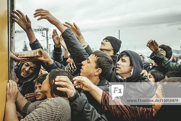 Verteilung von Nahrungsmitteln durch griechische Freiwillige  Flüchtlingslager Idomeni  Grenze zu Mazedonien  Griechenland  Europa