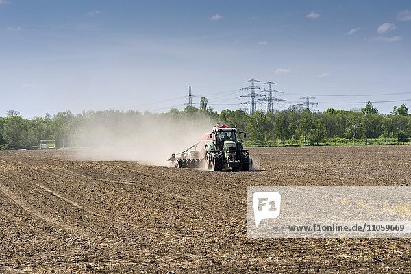 Agricultural landscape with a tractor ploughing a field  trees and overhead powerlines  Heidenau  Saxony  Germany  Europe