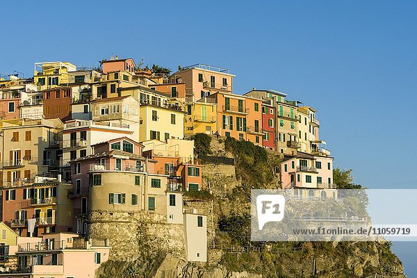Bunte Häuser der Stadt Manarola  dicht gedrängt auf Hügel an Mittelmeerküste  Riomaggiore  Ligurien  Italien  Europa