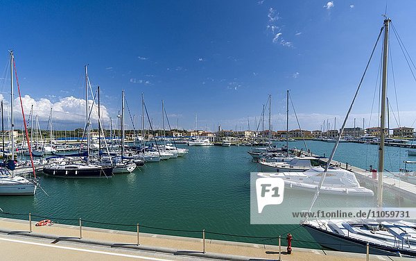 Sailing and motor boats are anchored in the harbour  Marina di Pisa  Tuscany  Italy  Europe