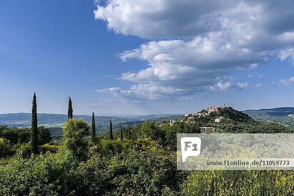 Typische Toskana-Landschaft mit Hügeln und Zypressen  dahinter eine Stadt auf einem Hügel  Montegiovi  Toskana  Italien  Europa
