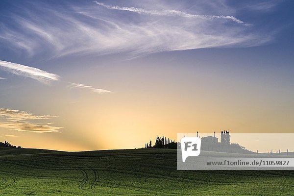 Typische grüne Landschaft der Toskana  mit einem Bauernhof auf einem Hügel  Getreidefelder  Zypressen bei Sonnenuntergang  Bagno Vignoni  San Quirico d'Orcia  Val d'Orcia  Toskana  Italien  Europa