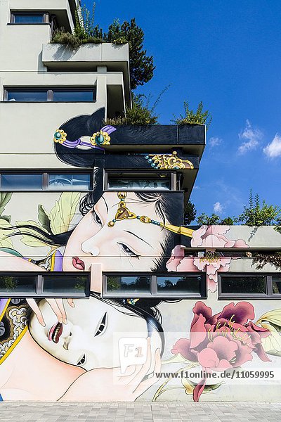 Buntes Graffiti mit japanischem Motiv an Hauswand  Würzburg  Bayern  Deutschland  Europa