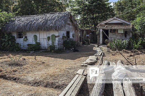 Typisches ländliches Anwesen  Holzhäuser  Bauernhaus bei Camagüey  Provinz Camagüey  Kuba  Nordamerika