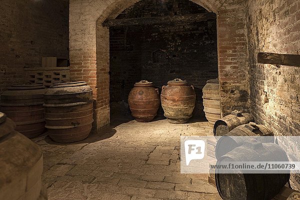 Wine cellar  old wine barrels and olive barrels  Abbazia di Monte Oliveto Maggiore  Tuscany  Italy  Europe