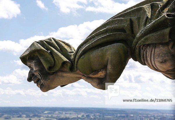 Ulmer Münster  sculpture  gargoyle on the western tower  Ulm  Baden-Württemberg  Germany  Europe