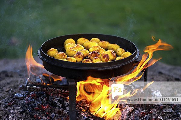 Fried potatoes in a fire pan over a campfire