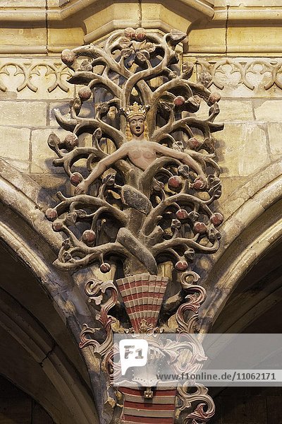 Baum der Erkenntnis mit personifizierter Schlange  16. Jh.  Halberstädter Dom St. Stephanus und St. Sixtus  Halberstadt  Sachsen-Anhalt  Deutschland  Europa