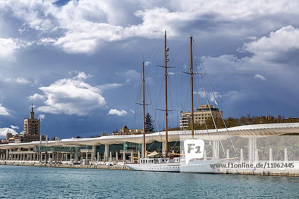 Weißes Segelboot im Hafen von Malaga  Costa del Sol  Andalusien  Spanien  Europa