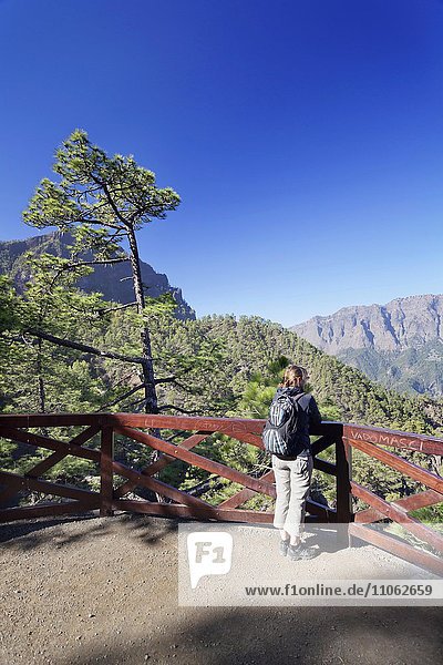 Ausblick vom Mirador de las Chozas in die Caldera de Taburiente  La Cumbrecita  Parque Nacional de la Caldera de Taburiente  UNESCO Biosphärenreservat  La Palma  Kanarische Inseln  Spanien  Europa