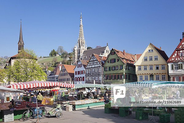 Markt auf dem Marktplatz von Esslingen  Frauenkirche  Baden-Württemberg  Deutschland  Europa