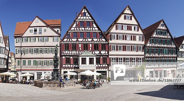 Brunnen mit Fachwerkhäuser am Marktplatz  Tübingen  Baden-Württemberg  Deutschland  Europa