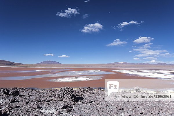 Laguna Colorada with red water due to high content of algae in Uyuni  Lipez  Bolivia  South America