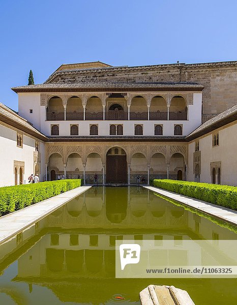 Myrtles  Alhambra  Granada province  Andalucía  Spain  Europe