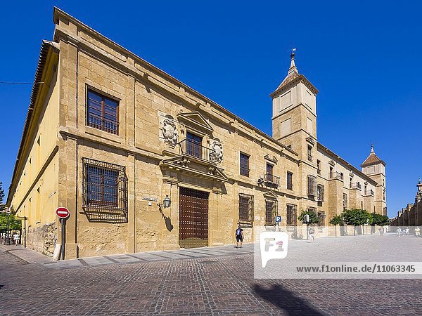 Diocesan Museum  Córdoba province  Andalucía  Spain  Europe