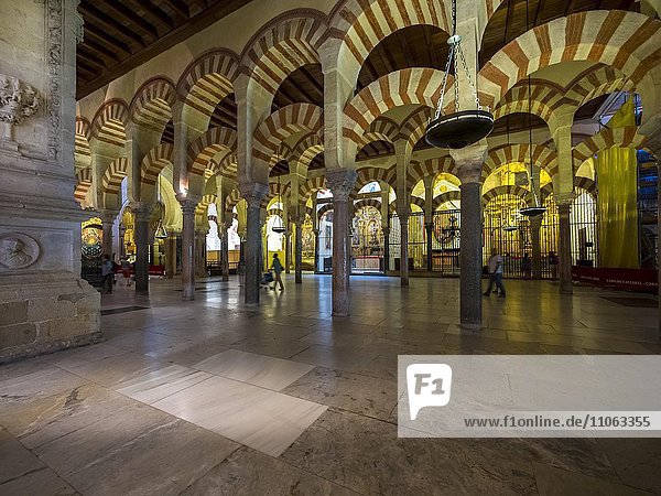 Interior of the Mosque of Cordoba  portico  Córdoba province  Andalucía  Spain  Europe