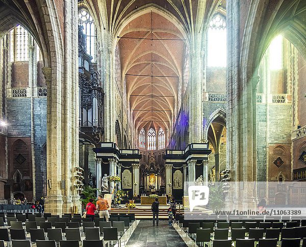 Römisch-katholische St.-Bavo-Kathedrale  Sint-Baafskathedraal  Gent  Flandern  Belgien  Europa