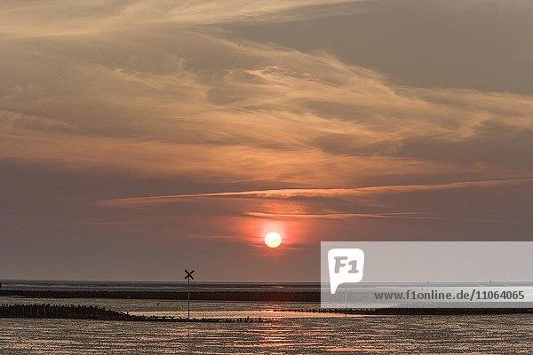 Wattenmeer bei Sonnenuntergang bei Ebbe oder Niedrigwasser  Nordsee vor Westerkoog  Hedwigenkoog  Dithmarschen  Schleswig-Holstein  Deutschland  Europa