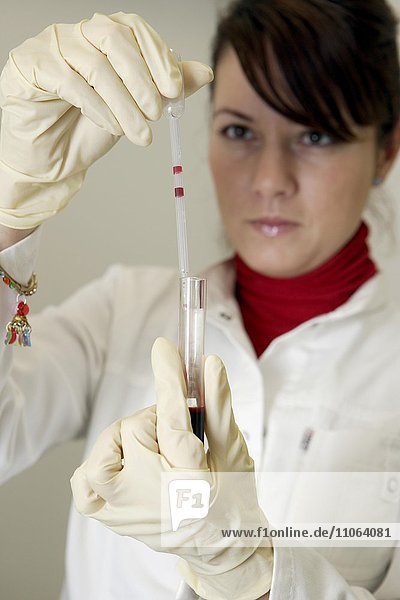 Laboratin im Labor mit einer Blutprobe  Deutschland  Europa