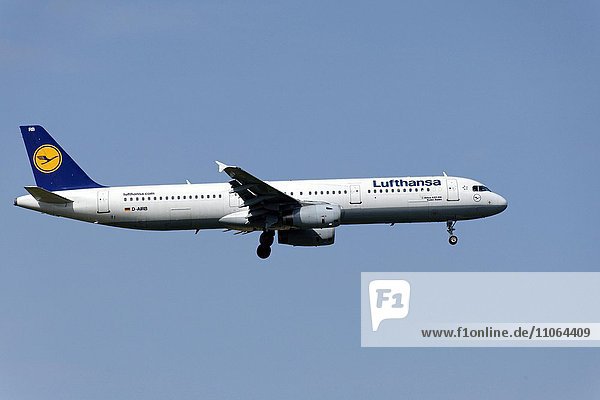 Lufthansa Airbus A321-100 bei Landeanflug  Flughafen Franz Josef Strauß  München  Oberbayern  Deutschland  Europa