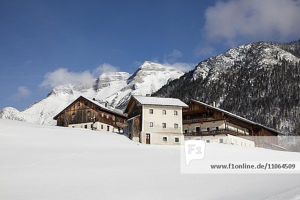 Steinberg am Roman vor Guffert im Winter mit Schnee  Tirol  Österreich  Europa