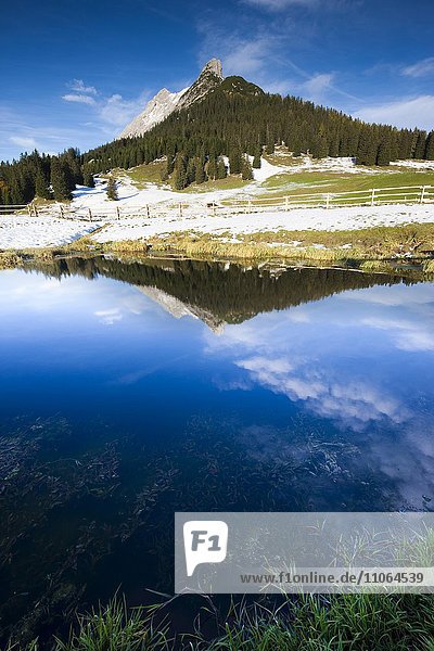 Walderkamp-Spitze und Hundskopf spiegeln sich in kleinem See  Karwendel-Gebirge  Tirol  Österreich  Europa