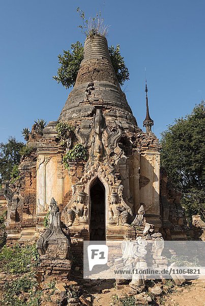 Baufälliger Stupa am Kloster Nyaung Oak  Inthein  Indein  am Inle-See  Myanmar  Asien