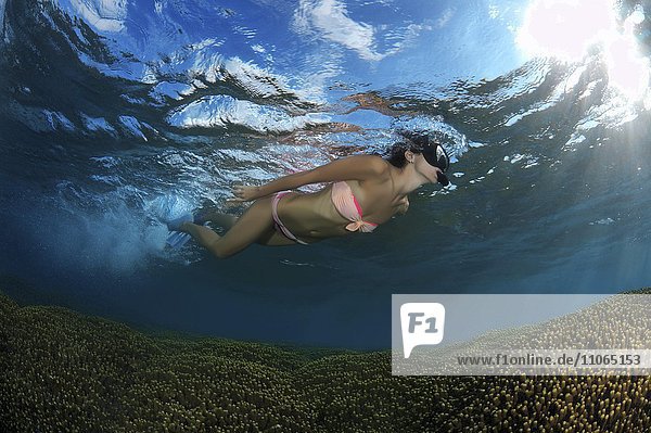 Junge Frau treibt an der Wasseroberfläche über einem Korallenriff  Indischer Ozean  Malediven  Asien
