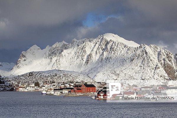 Rote Häuser vor schneebedeckten Bergeb  Bucht von im Winter  Reine  Lofoten  Norwegen  Europa