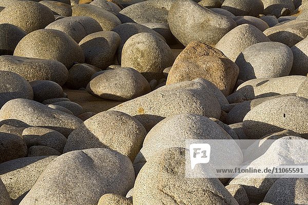 Runde Steine am Strand  Küste bei Capo Pecora  Buggerru  Sardinien  Italien  Europa