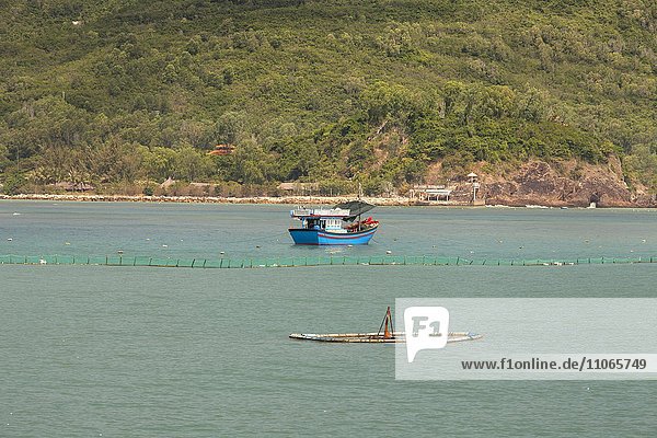 Fischerboote bei Sao Bien  Ninh Thuan  Vietnam  Asien