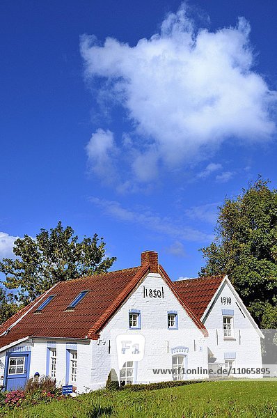 Historische Häuser in Greetsiel  Niedersachsen  Deutschland  Europa