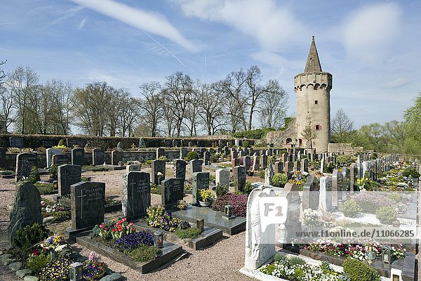 Pulverturm am Alten Friedhof  Wehrturm der mittelalterlichen Stadtbefestigung  Seligenstadt  Hessen  Deutschland  Europa