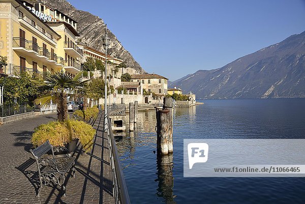 Promenade of Limone sul Garda  Lake Garda  Province of Brescia  Lombardy  Italy  Europe
