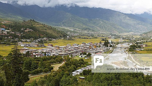 Paro mit Paro-Fluss oder Pa Chu und gelbe Reisfelder  Paro-Tal  Himalaya  Königreich Bhutan