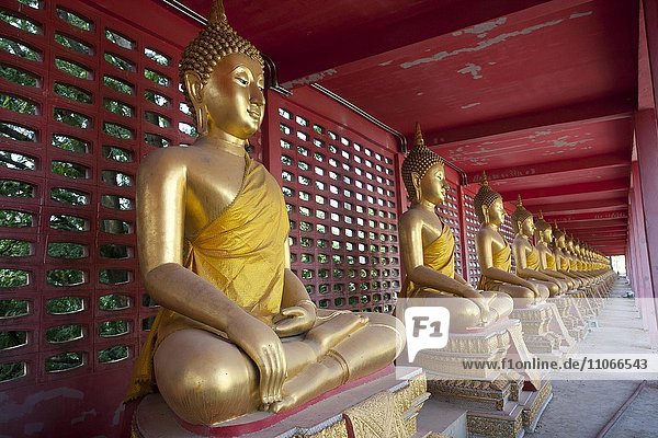 Buddhastatuen im Tempel Wat Thasung Banphot  Nakhon Sawan  Thailand  Asien
