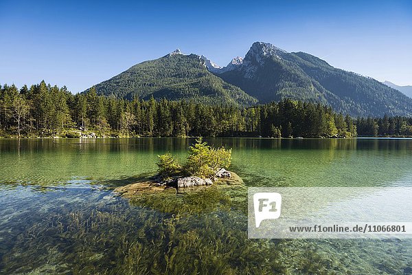 Hintersee  Ramsau  Nationalpark Berchtesgaden  Berchtesgadener Land  Oberbayern  Bayern  Deutschland  Europa