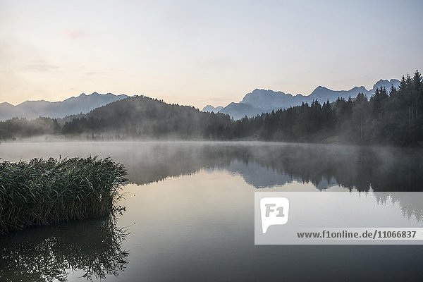 Morgennebel  Geroldsee oder Wagenbrüchsee  hinten Karwendel  Krün bei Mittenwald  Werdenfelser Land  Oberbayern  Bayern  Deutschland  Europa