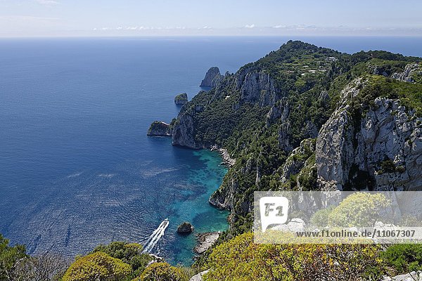 Aussicht vom Park auf Steilküste mit den Felsen Faraglioni  Villa Astarita  Capri  Golf von Neapel  Kampanien  Italien  Europa